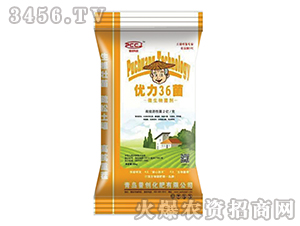 ΢�������-����36��-�Մ��Ƽ�