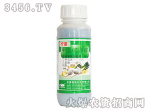 ���졤�Ҳݰ�-�y�z-�G��