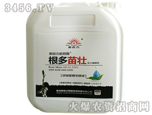 ��s���ǰl(f��)��Һ����������ͣ�-�������-����