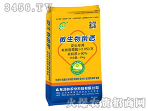 ��������΢�������-���S��-�����r�I