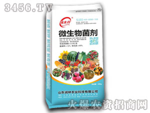 ΢�������40kg-���S��-�����r�I