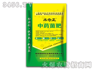 ��ˎ����-������-�еº���