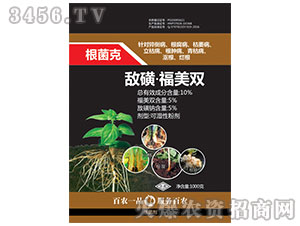 ���ǡ������p������-������-���r˼�_