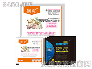 �[������󿹾��`-����-�����f��