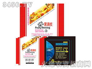 ���M֦-�����f��