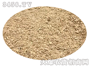 �׽���������-�G�]����