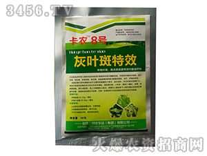 ���~����Ч������-���r8̖-����ʘI