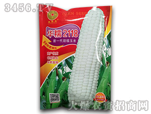 �AŴ2118-���׷N��-�A��N�I(y��)