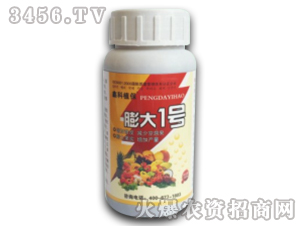 ֲ���{����-���һ̖-�ο�ֲ��