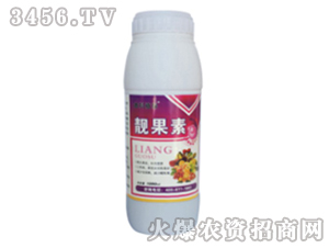 �n����-�ο�ֲ��