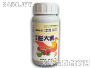 �O�������-�ο�ֲ��