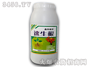 ������-������-�ο�ֲ��