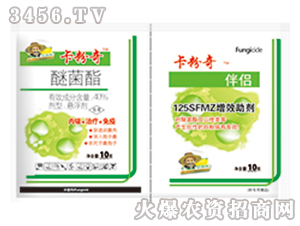 �׾���+��Ч����-������-�G�µ�