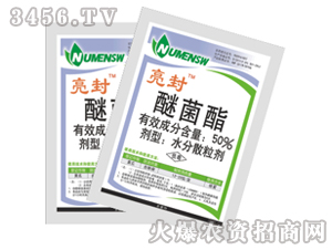 50%�Ѿ���-����-����