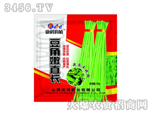 ���a�{�턩-������ֱ�L-�ְ�