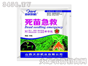 �{����-���缱��-�ְ�