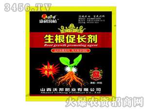 �������L��-�ְ�