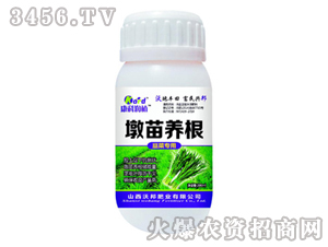 �{����-�����B��-�ְ�