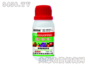 ��������I�BҺ-����S-�ְ�