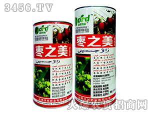 �{���I�B��-��֮��-�ְ�