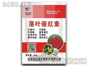 ���~�߼t��-�֠���