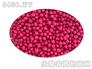 ��֬��Ĥ���أ��t��-���r�ʘI