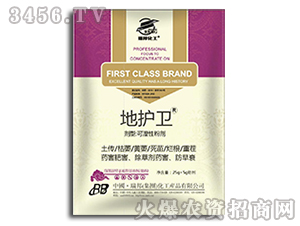 ���o�l(w��i)������-����