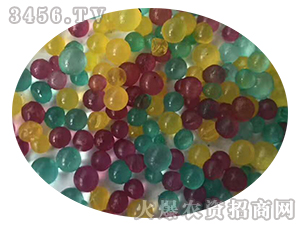 ��������w������ɫ��-���r�ʘI