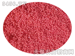 �������С�w�����t��-���r�ʘI