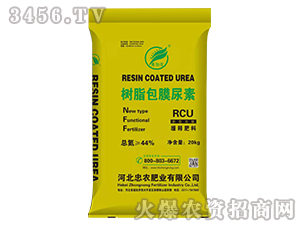 ��֬����Ĥ����-���ӻ�-���r�ʘI