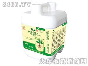 �ǃz�ݸ�����-���ǻ��r