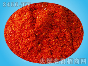 �_ʩ��-ꖹⴺ��