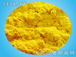 ���ϠI�B���Մ�-ꖹⴺ��