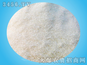 �ļ׻�������c-ꖹⴺ��