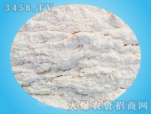 ���ᶡ���-ꖹⴺ��