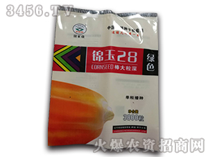 ���A909-���׷N��-��ɷN�I 