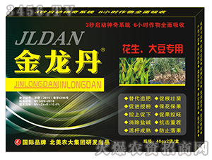 �������󶹌����{����-������-�����r��