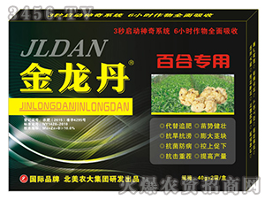 �ٺό����{����-������-�����r��