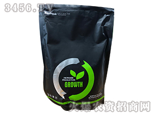 ֲ���{����-�ο�ֲ��