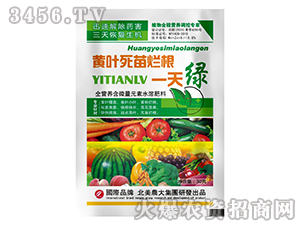 �S�~���砀��һ��G-�����r��