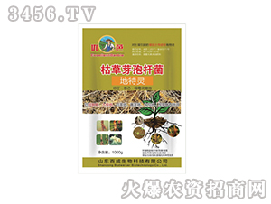 �ݲ�ѿ�ߗU��-�����`-����