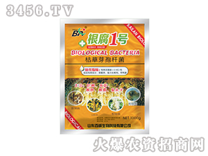 �ݲ�ѿ�ߗU��-����1̖-����