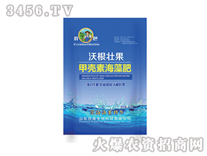 �ך��غ����-�ָ��ѹ�-����