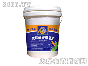 �S����������-����-��΢����