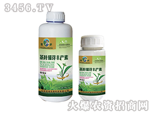 ���~��ѿ�S�a��-����-��������