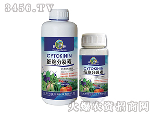 ����������-����-��������