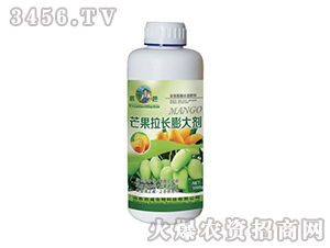 â�����L���-����-��������