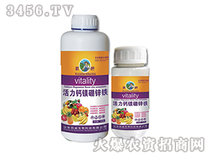 �����}�V���\�F-����-��������