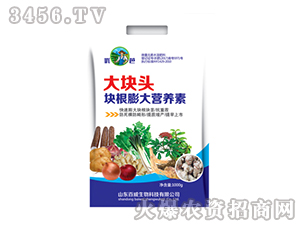 �K�����I�B��-��K�^-����