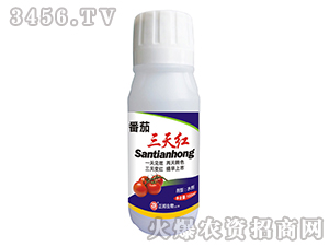 ��������t-���䌍�I